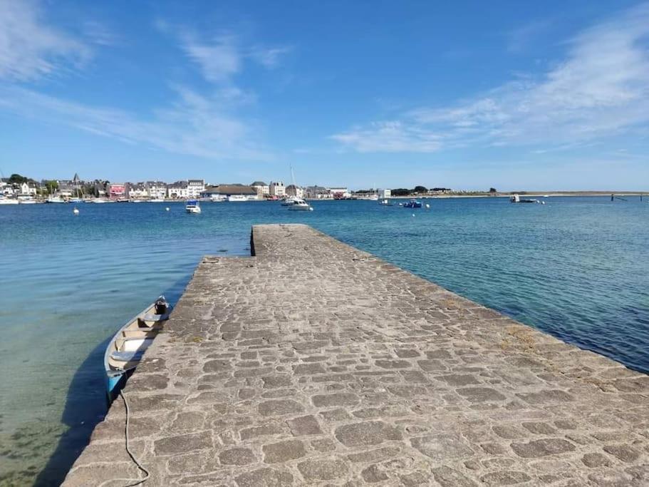 Chalet Cosy, Plages A Pieds. Morbihan. Plouhinec  Zewnętrze zdjęcie